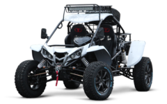 RENLI 550CC RENLI 550CC (car license required) 